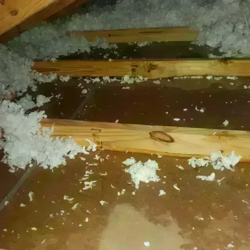 Attic Water Damage in Hitchcock County, NE