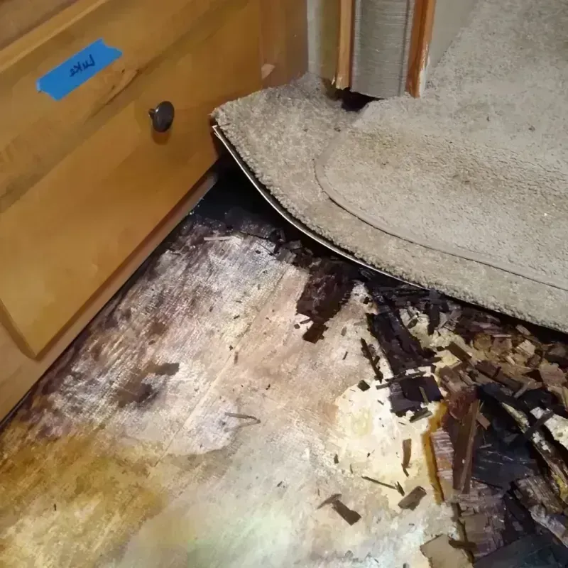 Wood Floor Water Damage in Hitchcock County, NE